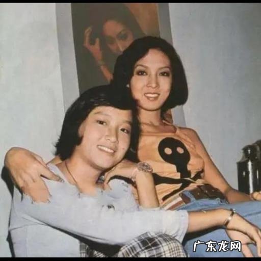 岳华与恬妮 恬妮 岳华