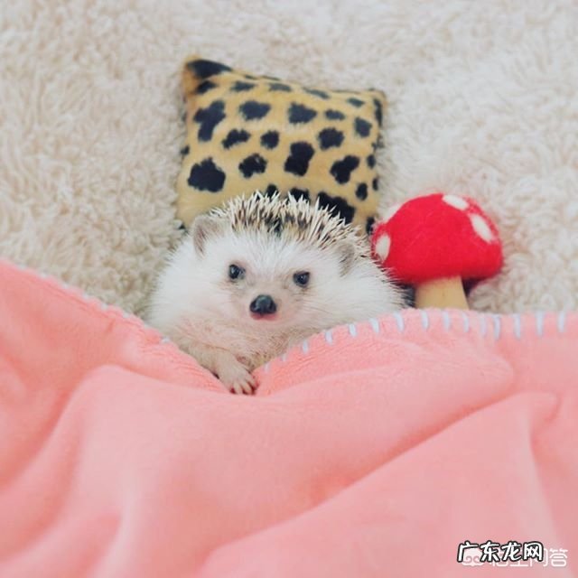 夏季有什么好的减肥方法么？本人160快120斤？