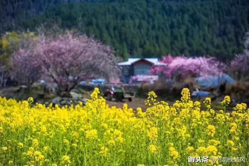“窗含西岭千秋雪,门泊东吴万里船”出自哪里?是什么意思?