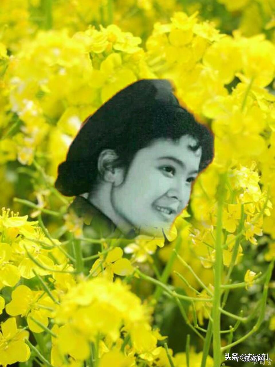 你有这个春天的故事吗?文字、图片,发来共赏可以吗?