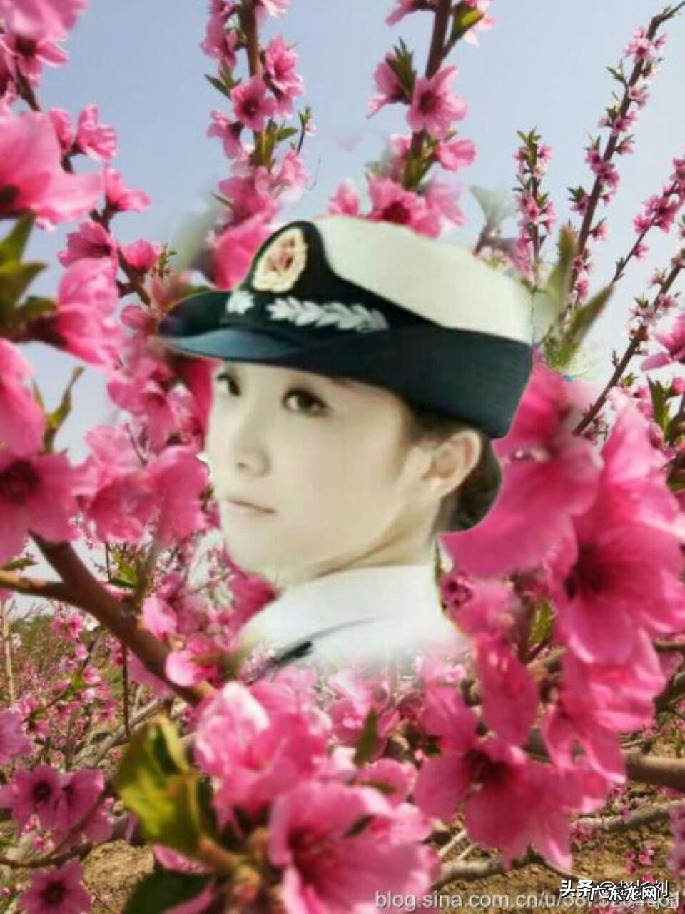 你有这个春天的故事吗?文字、图片,发来共赏可以吗?