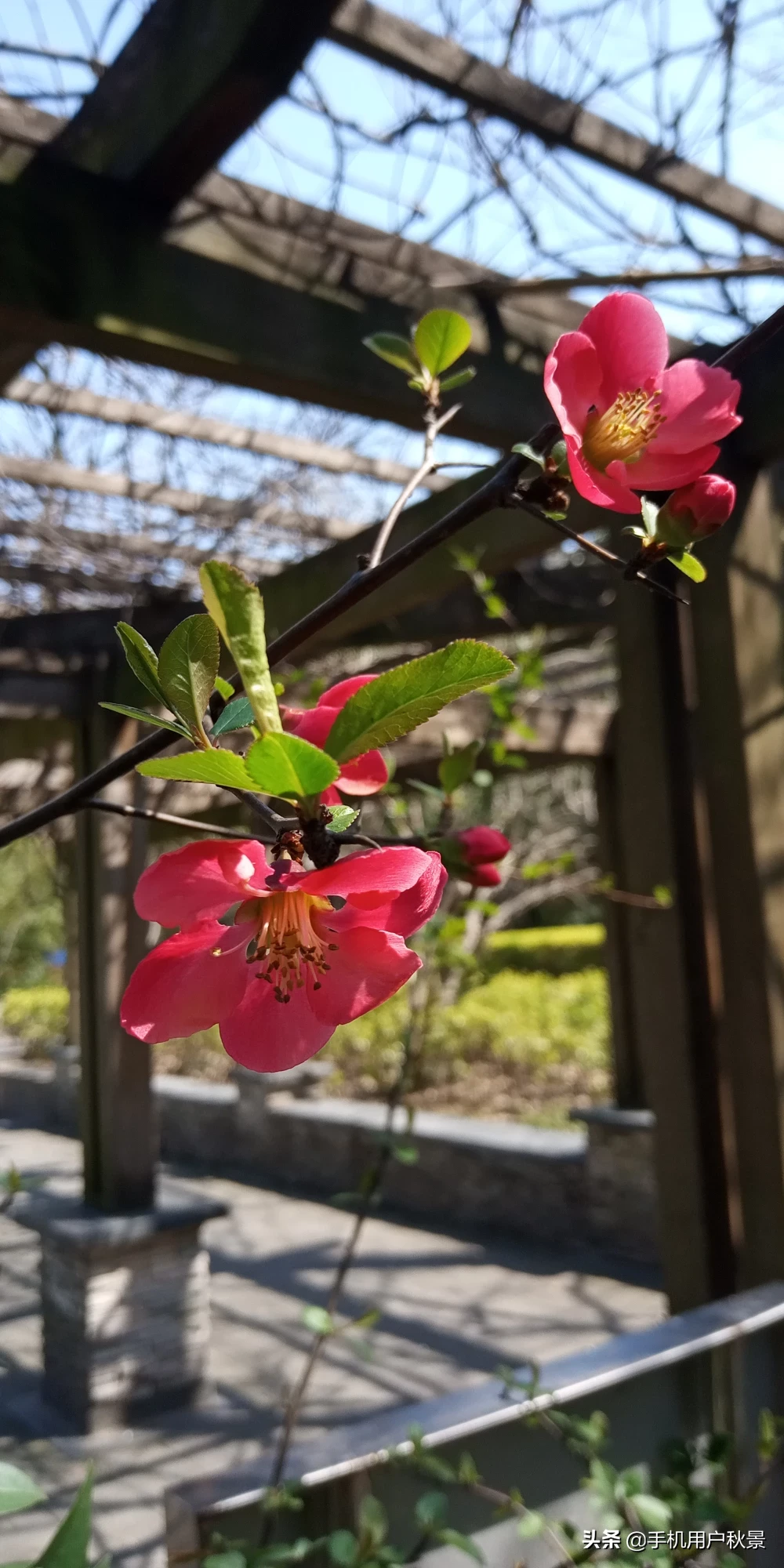 你有这个春天的故事吗?文字、图片,发来共赏可以吗?