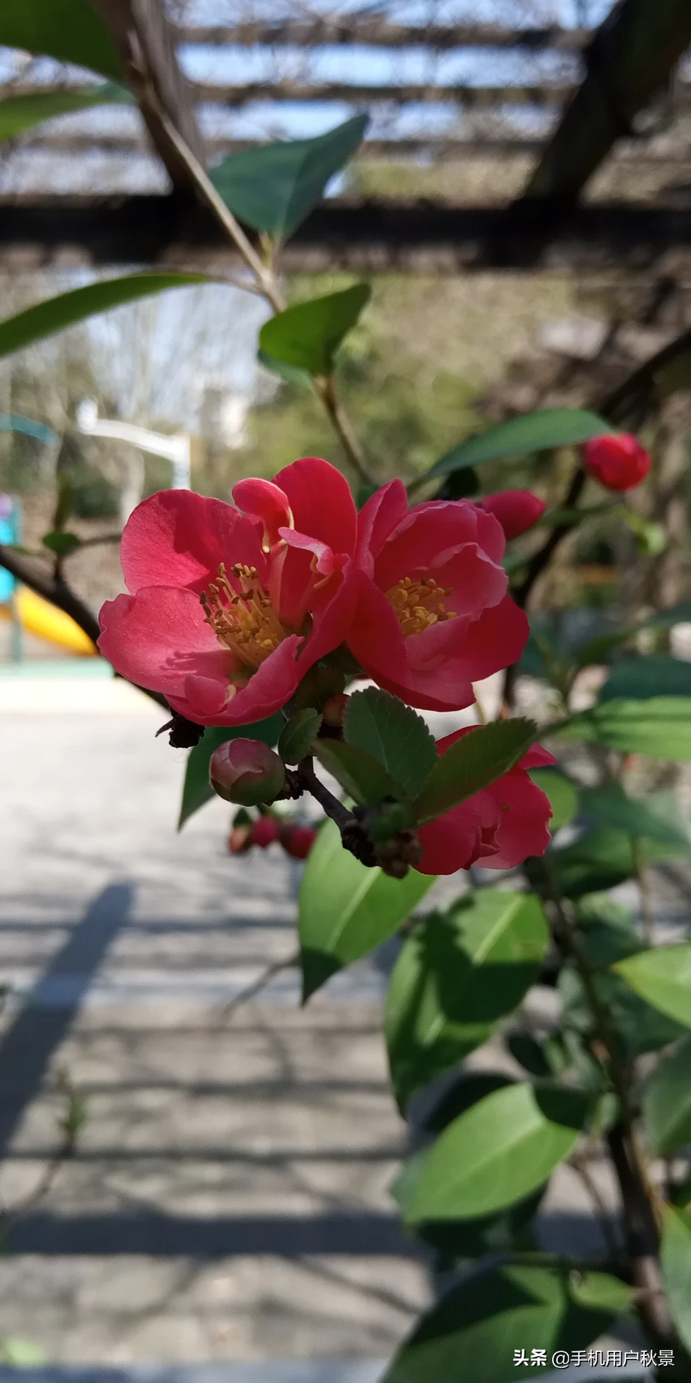 你有这个春天的故事吗?文字、图片,发来共赏可以吗?