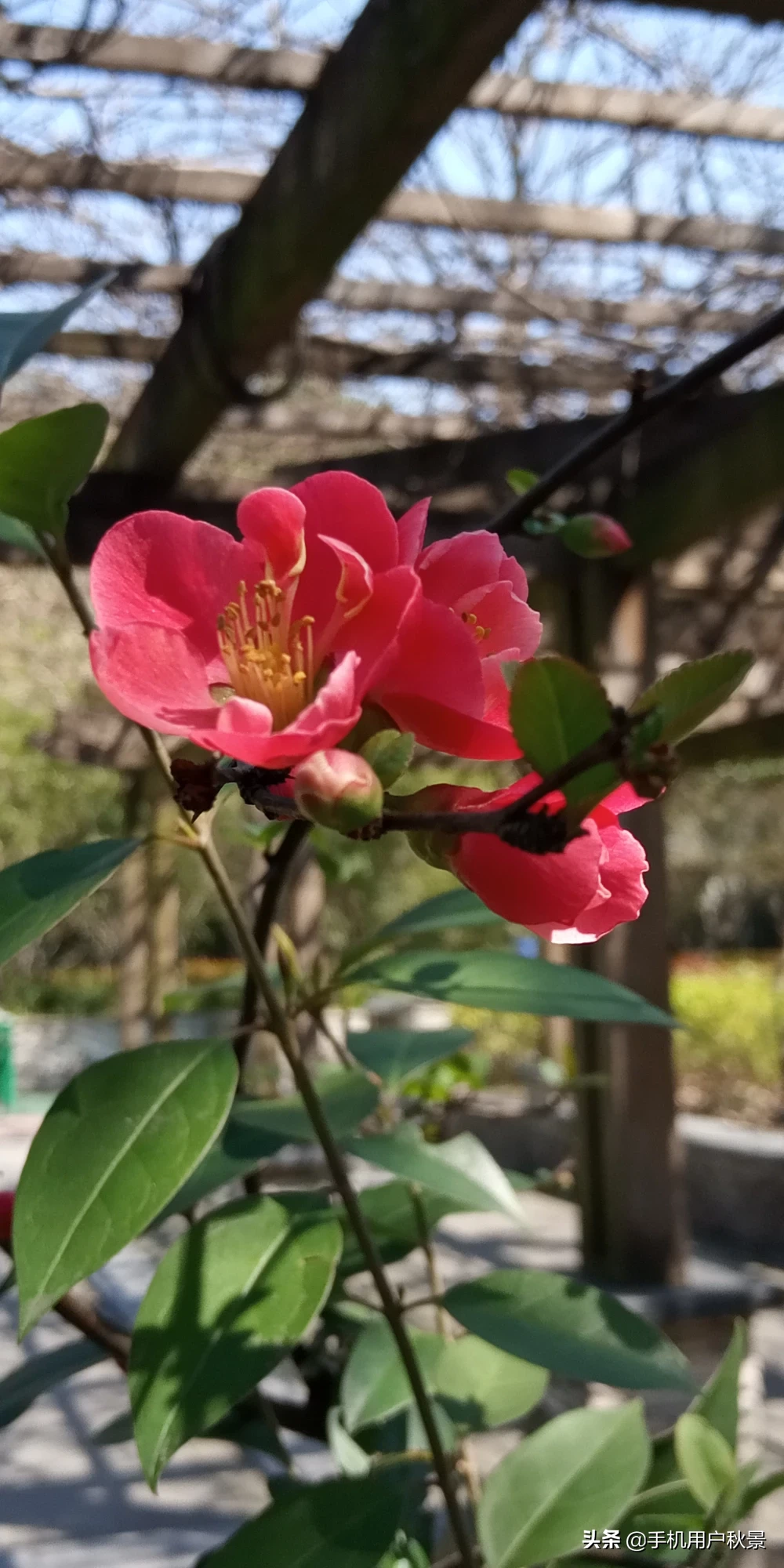 你有这个春天的故事吗?文字、图片,发来共赏可以吗?