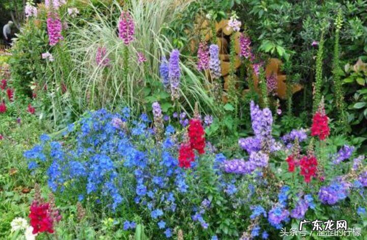 风水上隔墙如隔山是什么 风水上隔山望怎么破