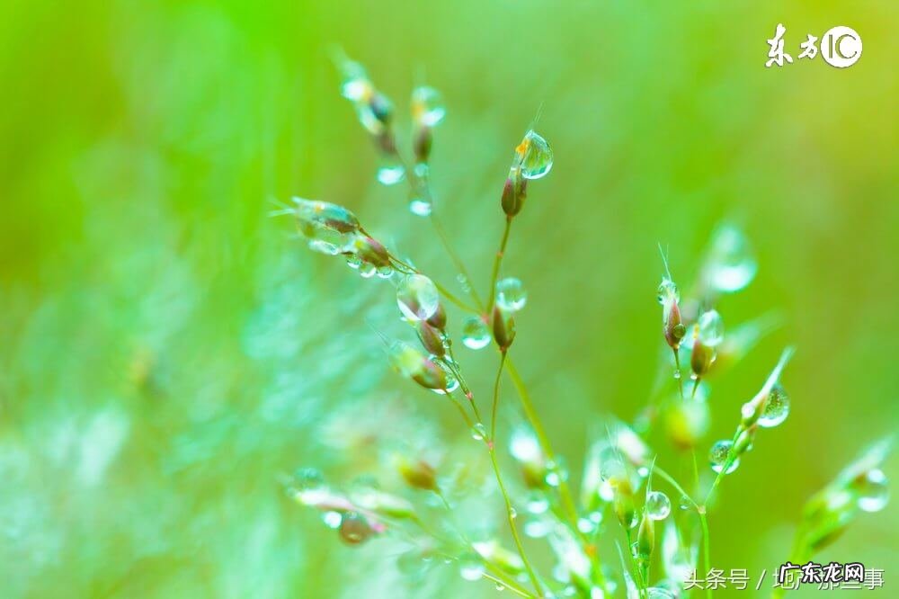 小区在学校后面风水如何 小区后面是学校风水
