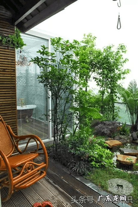 桃树风水栽什么方向好 桃树种在什么地方风水好