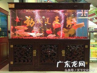 八字的旺衰怎么看 风水中衰气是哪些