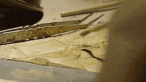 木头桌子腿断了怎么办 桌子断了什么含义