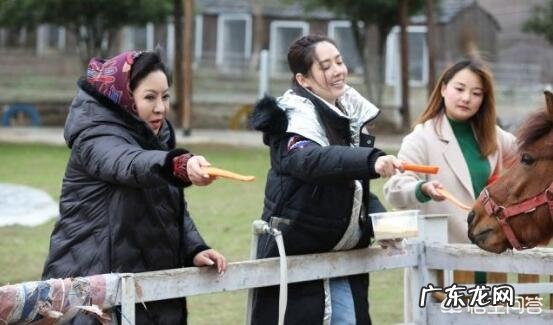 向太陈岚为什么那么喜欢郭碧婷?宣布恋情,订婚都是向太亲自发布?