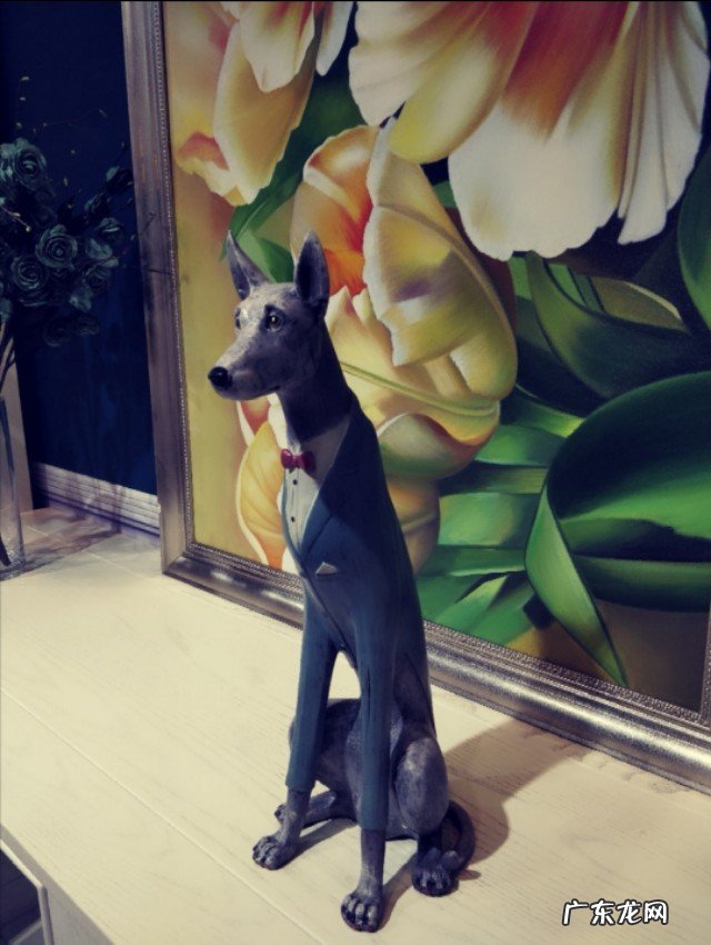 为什么感觉现在离婚的人越来越多?