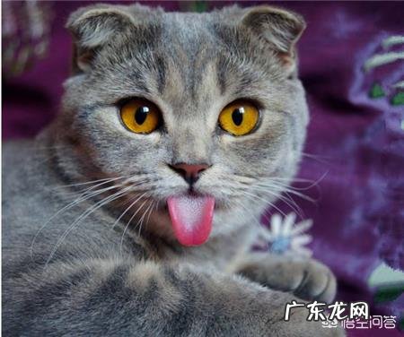 你觉得十二星座谁最时尚？