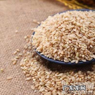 糙米的正确吃法 糙米的功效与作用坏处
