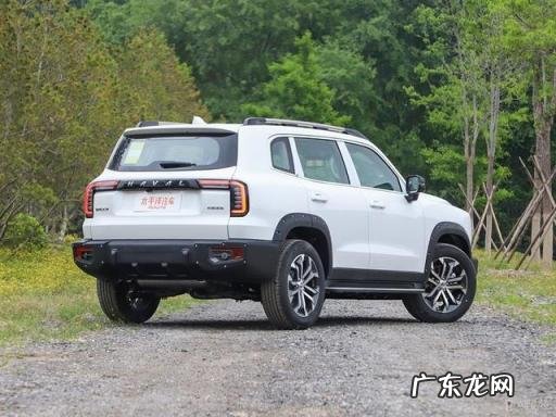 哈弗汽车报价及图片大全价格 哈弗大狗猎犬版