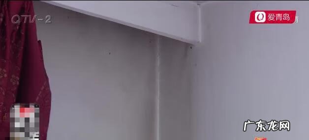 最招财的鱼 怎样对付楼上养鱼的