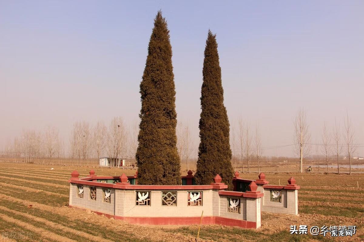 坟地前低洼好不好 坟前低风水好不好呢