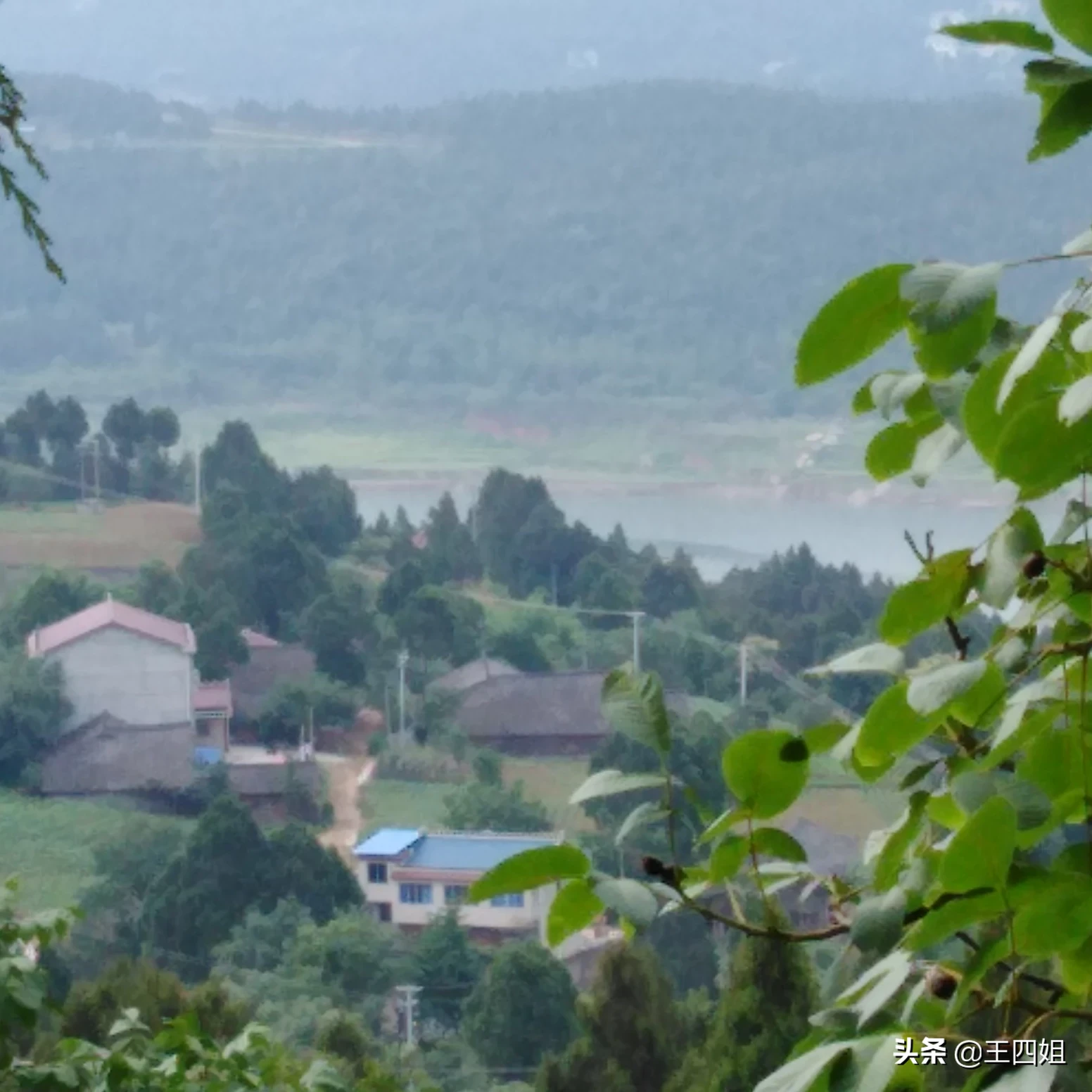 你们家乡现在风景美吗？分享一下田间地头好吗？