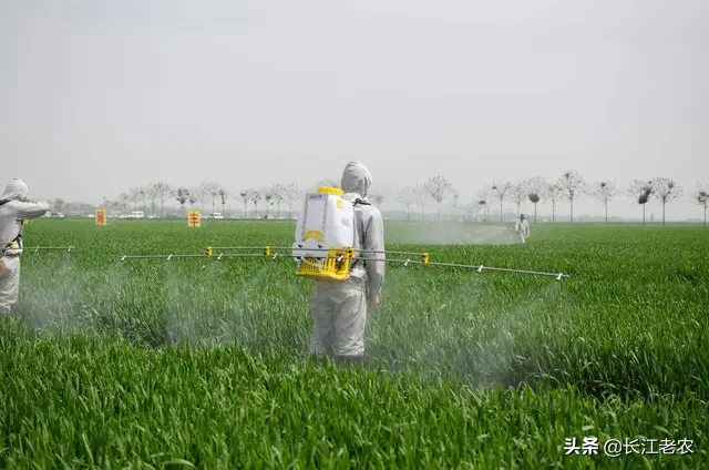 在疫情之下,农民如何进行农业生产?