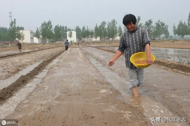 在疫情之下,农民如何进行农业生产?