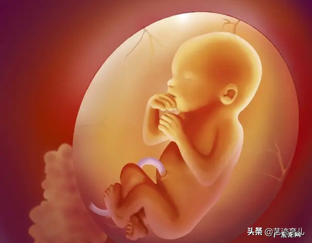 在早孕反应出现之前,如何发现自己已经怀孕?