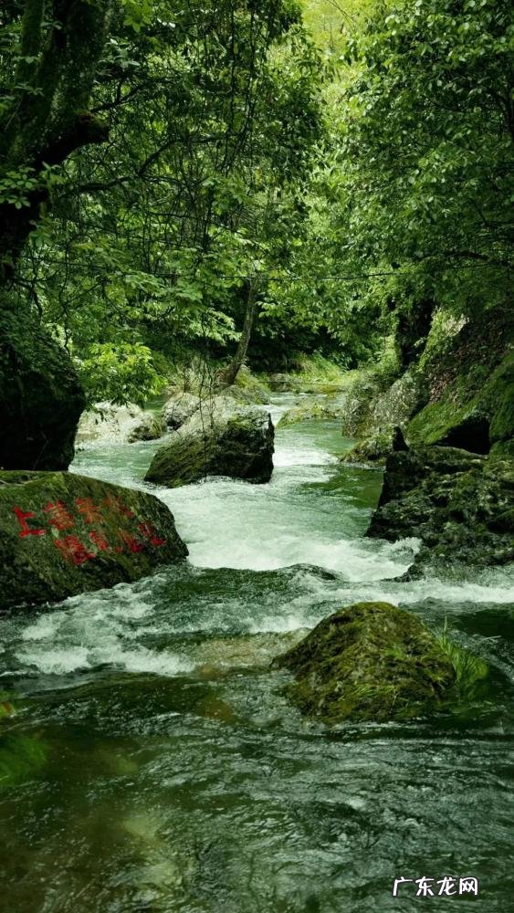 去黄山旅游门票多少钱一张 黄山旅游区门票多少钱