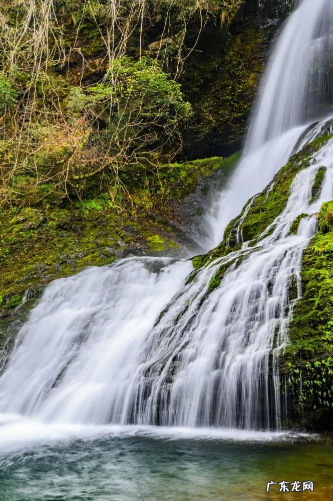去黄山旅游门票多少钱一张 黄山旅游区门票多少钱