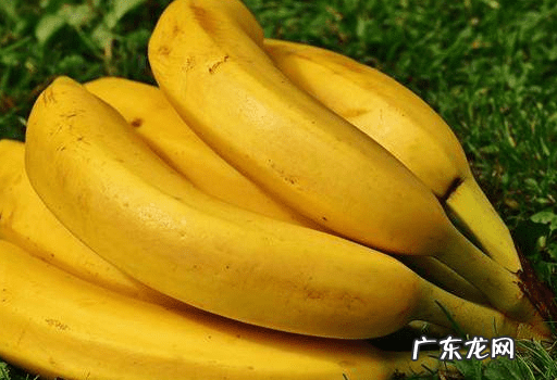 香蕉皮的功效与作用点