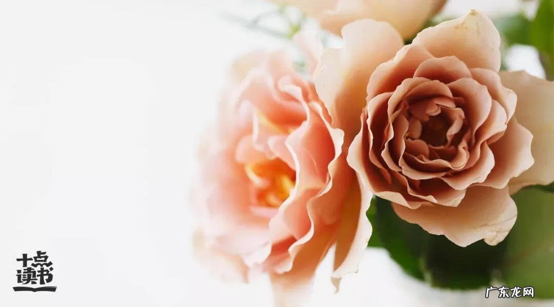 老干部局是好单位吗 新到单位任职如何讲风水话