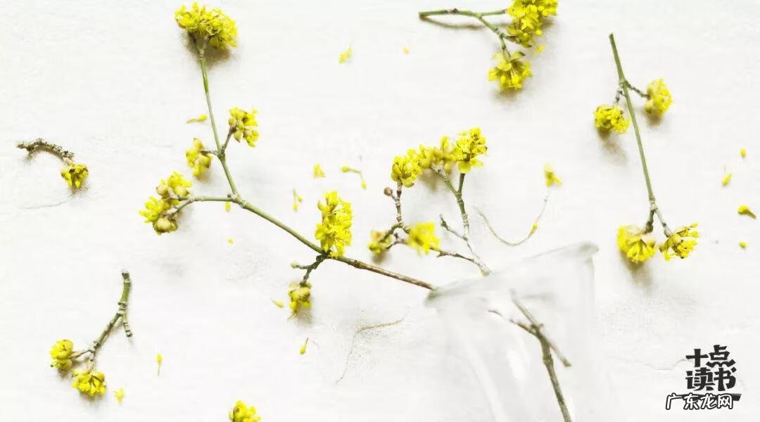 老干部局是好单位吗 新到单位任职如何讲风水话