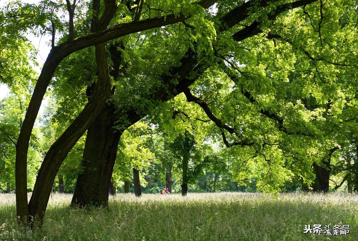 如何让自己变得气场强大?