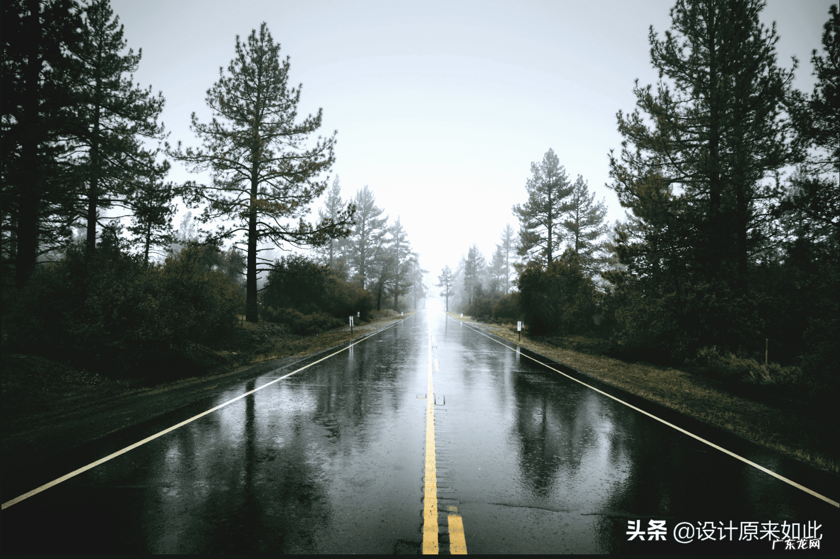 ps高级调色教程 ps调色在哪