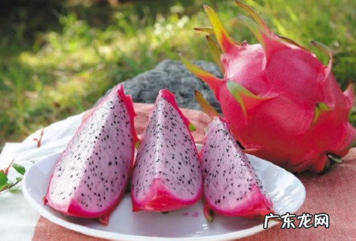 哪些人不宜吃火龙果 红心火龙果是凉性的还是热性的