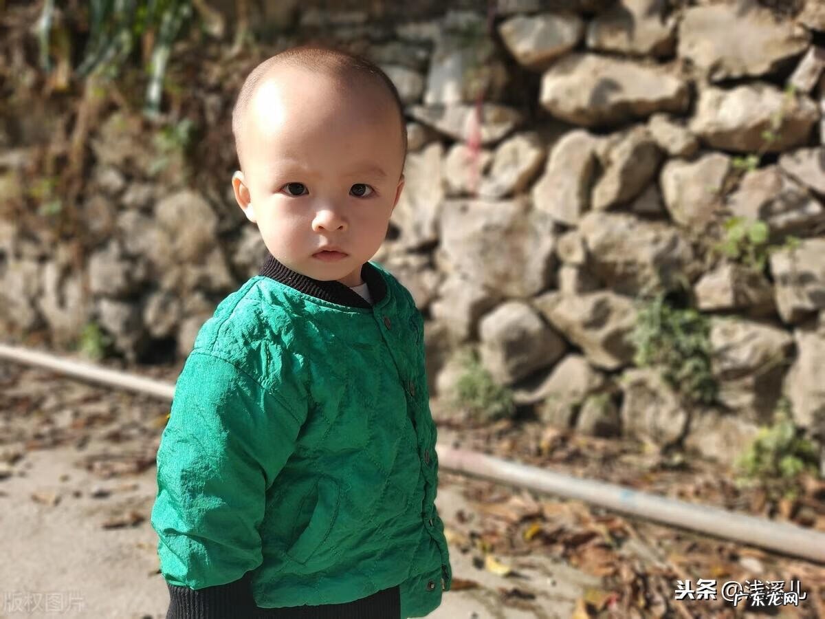 宥过是什么意思解释 宥是什么意思用作名字