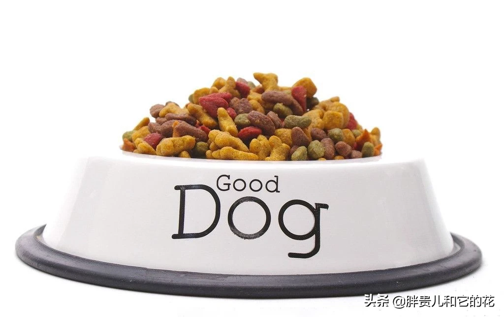 哈士奇吃什么狗粮好?_1