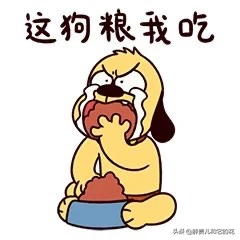 哈士奇吃什么狗粮好?_1