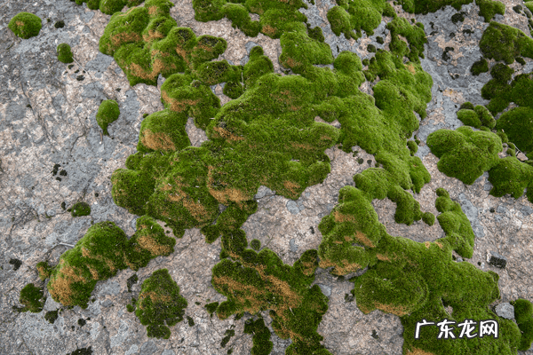 马槽又叫什么 马槽风水解释