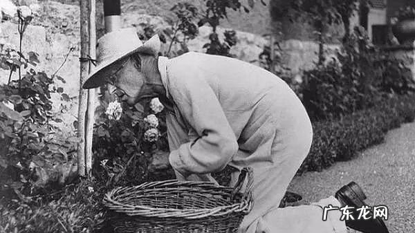 德米安是个怎样的人 德米安