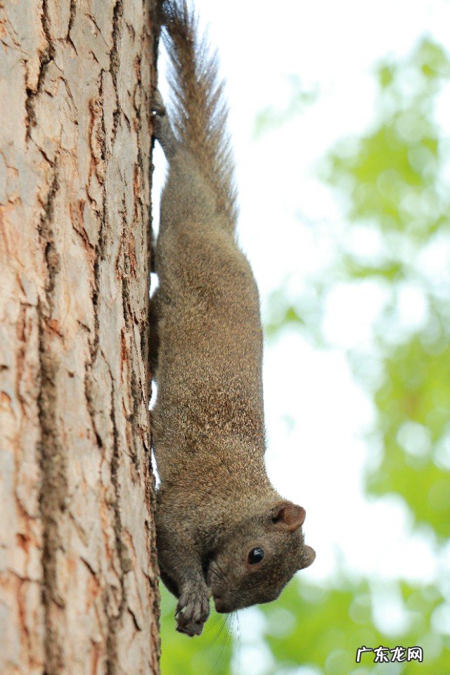 去杭州玩,有哪些经典的旅游线路?
