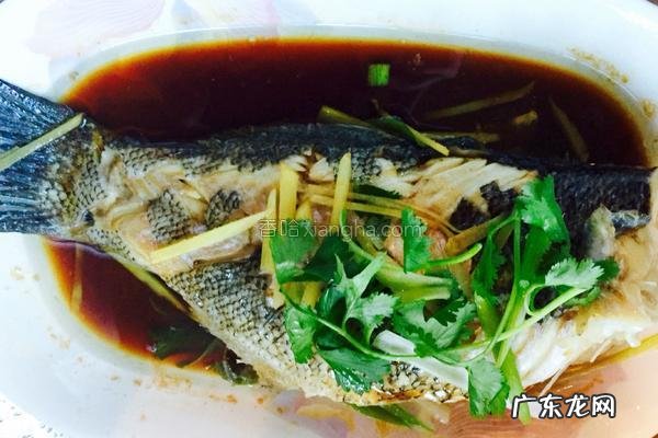 清蒸石斑鱼是哪个地方的菜系 清蒸石斑鱼是什么地方的菜啊