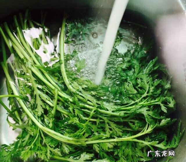 男人为什么不能吃茼蒿 茼蒿什么人不能吃?