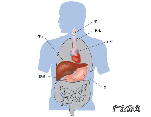 从小胸一大一小正常吗怎么办 我的胸部一大一小怎么办