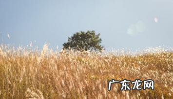 武功山星空帐篷酒店是在景区里面吗 武功山星空帐篷酒店在山上还是山下