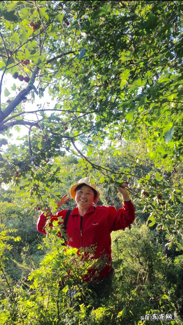 你渴望有牵手一辈子的人吗?