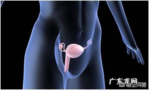 女性应该怎样保养卵巢?卵巢保养误区有哪些?