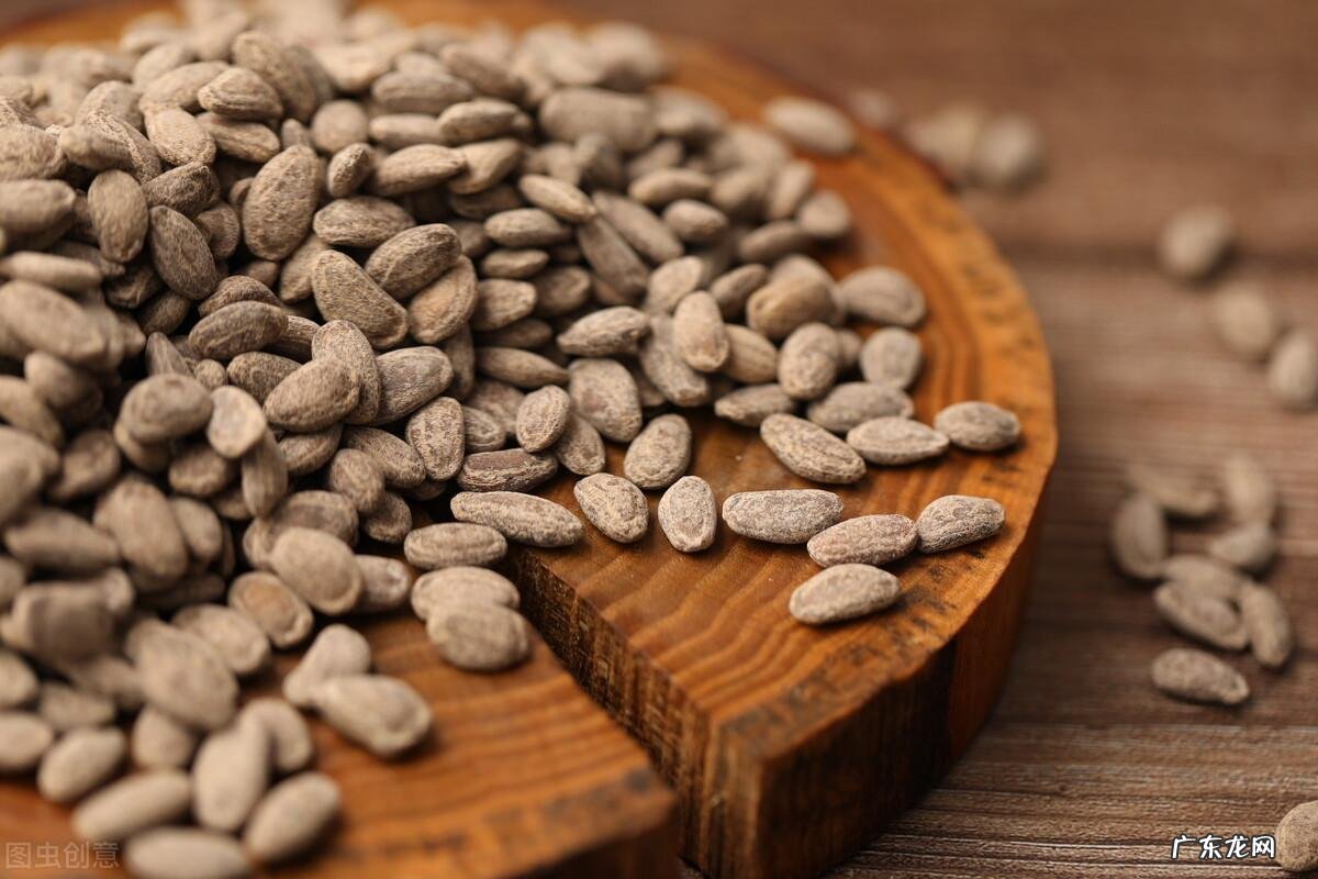 5种适合小白种植的花草绿植,谁养谁当是香饽饽