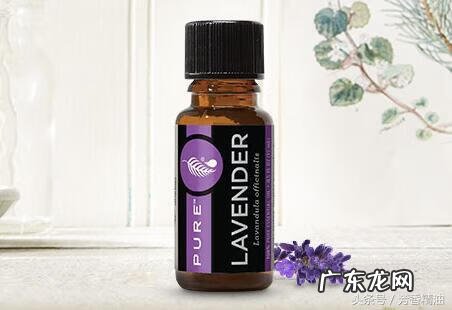 薰衣草精油去痘印真的吗