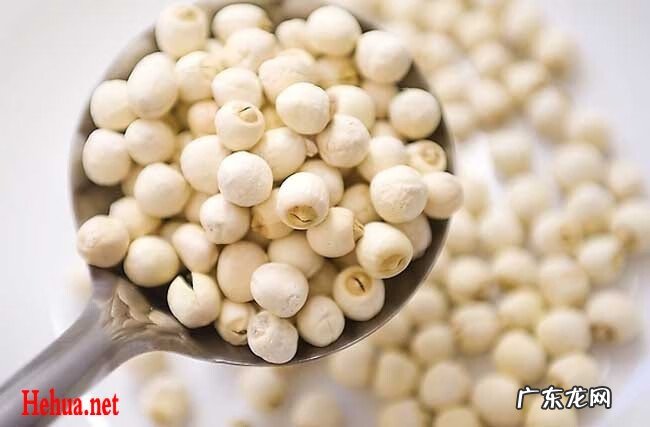 莲子的功效是什么