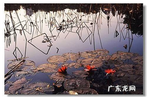 如何用一首诗词来形容这个冬天？