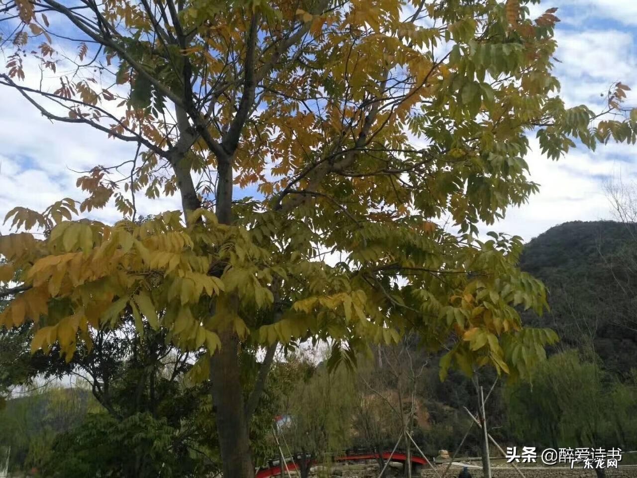 福建风水留题大全 地理风水留题地详解图