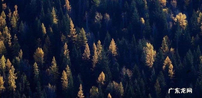 前水后山是什么格局风水 前水后山的风水好不好